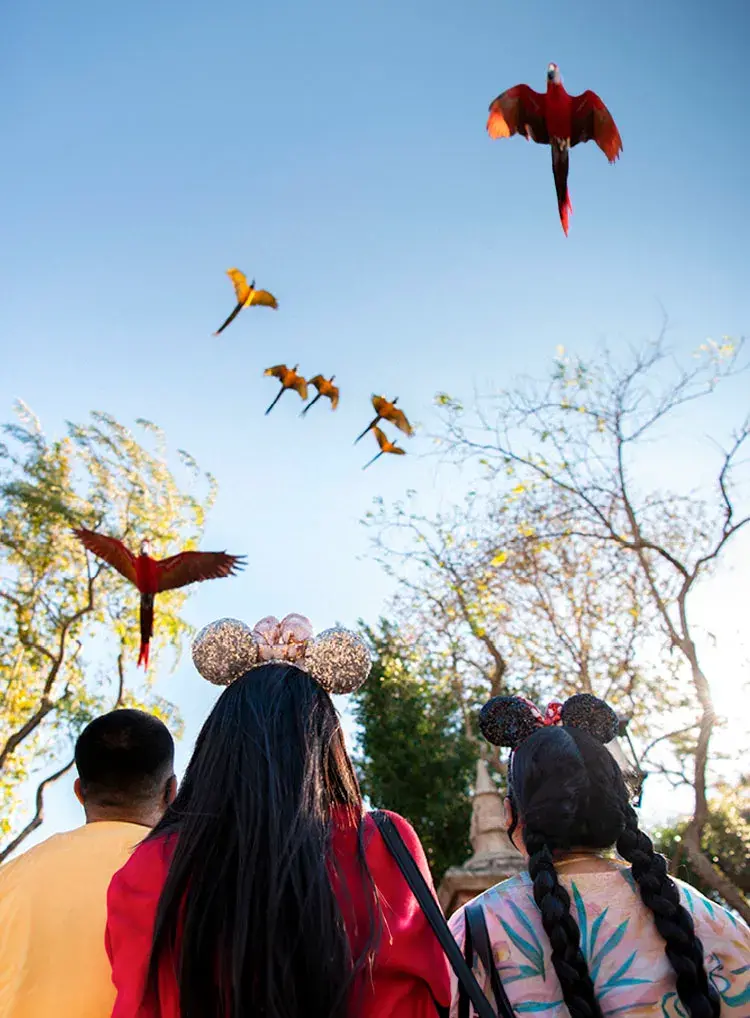 Ingresso 2 Dias Disney com Parques Aquáticos (Park Hopper Plus) Criança – Acesso a Mais de Um Parque no Dia – Acesso a Experiências Esportivas – Grátis 1 IDKIDS (Divertido para as Crianças, Essencial para os Pais. Limite 1 por Passageiro) – Mais Informações, Consulte Detalhes do Item – CRIANÇA (de 3 a 9 anos)